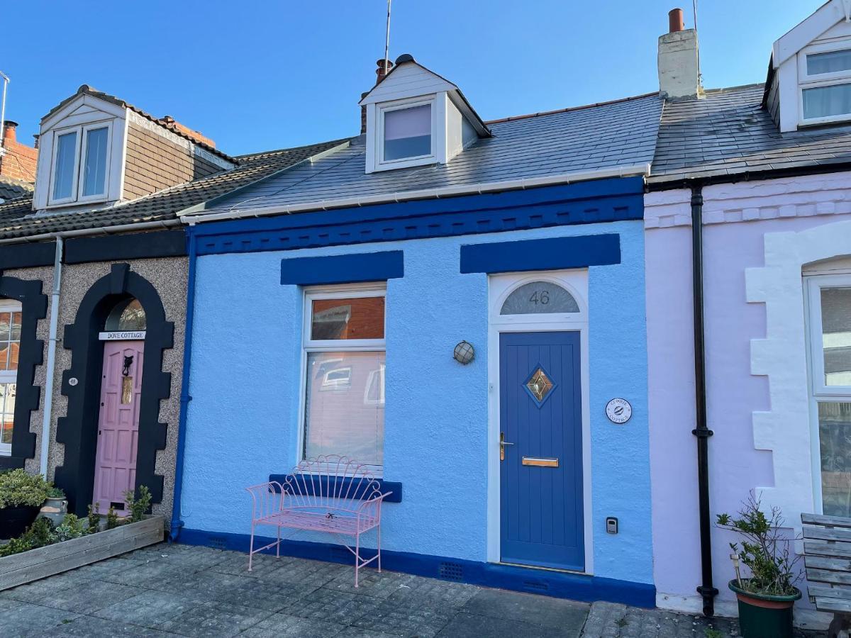 Cowrie Cottage North Shields Exteriör bild